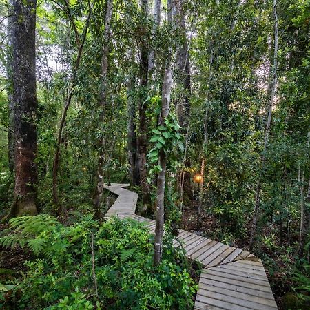 Rakau Lodge Pucón Εξωτερικό φωτογραφία